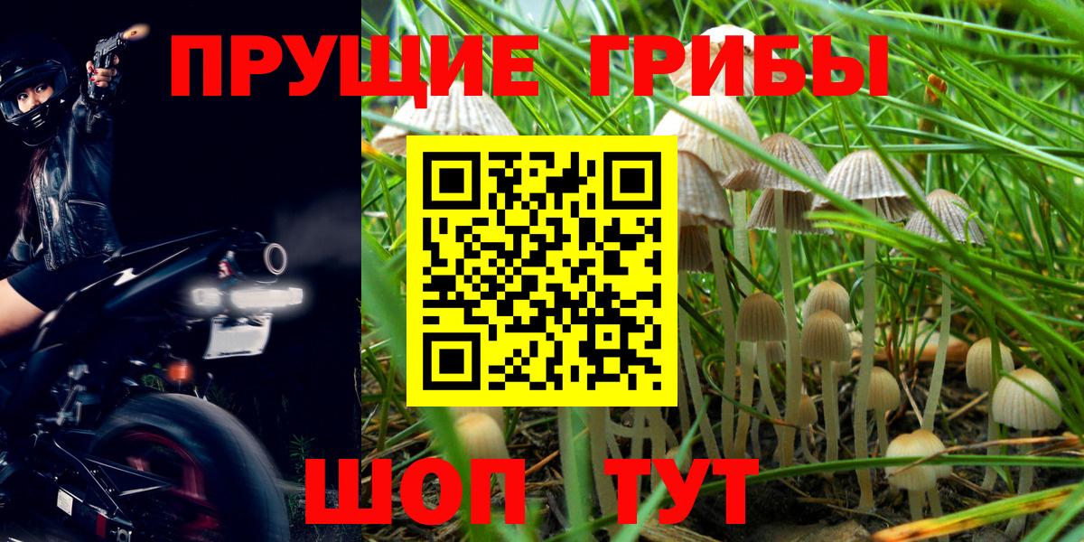 Сургут  Галлюциногенные грибы Magic Shrooms  Вход с VPN 