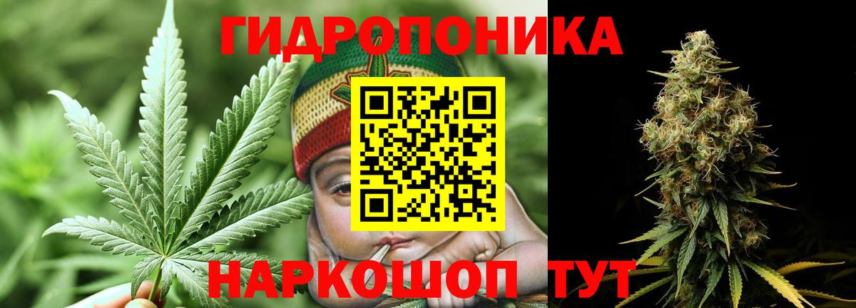 Марихуана Ganja  Вход с VPN  Марихуана планчик  Марихуана план  Сургут 